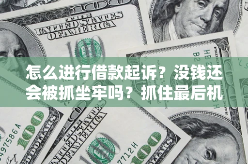 武汉怎么进行借款起诉？没钱还会被抓坐牢吗？抓住最后机会！
