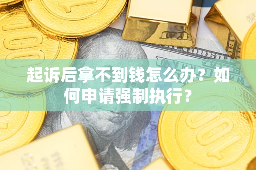 武汉起诉后拿不到钱怎么办？如何申请强制执行？