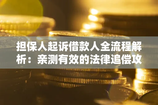 武汉担保人起诉借款人全流程解析：亲测有效的法律追偿攻略