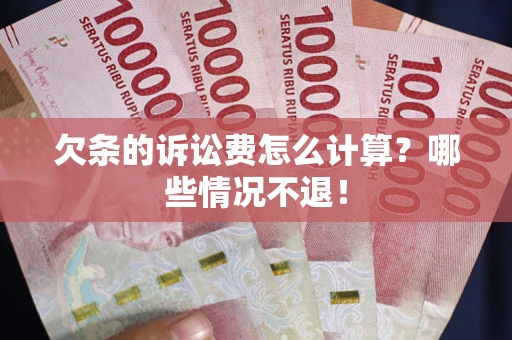 武汉欠条的诉讼费怎么计算？哪些情况不退！