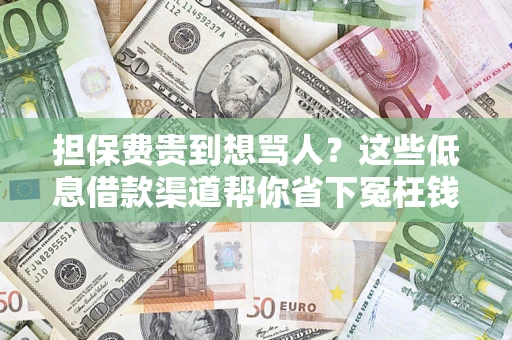 武汉担保费贵到想骂人？这些低息借款渠道帮你省下冤枉钱