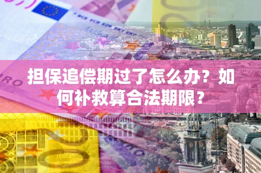 武汉担保追偿期过了怎么办？如何补救算合法期限？