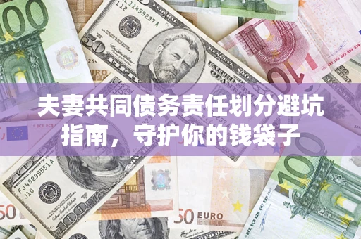 武汉夫妻共同债务责任划分避坑指南，守护你的钱袋子