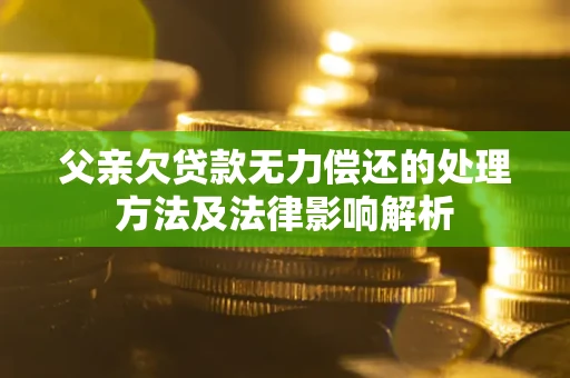 武汉父亲欠贷款无力偿还的处理方法及法律影响解析