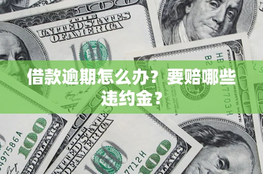 武汉借款逾期怎么办？要赔哪些违约金？